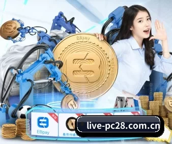 漂泊28网 APP
